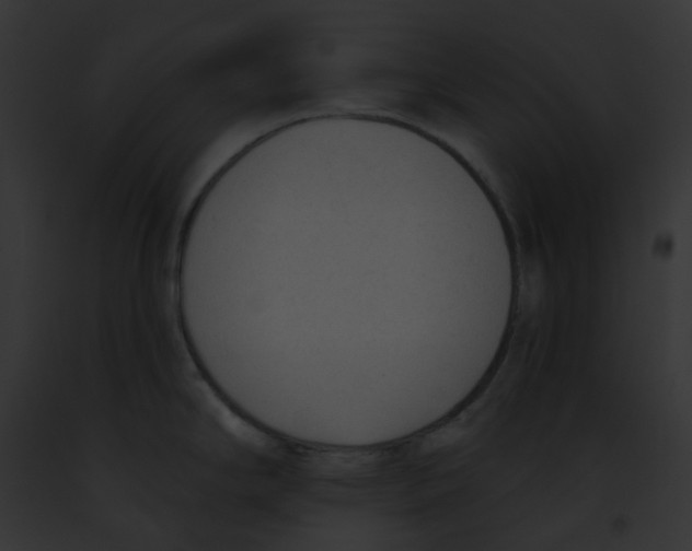 X0000091891294200710031134