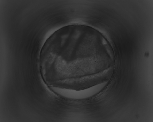 X0000091891295200710031134