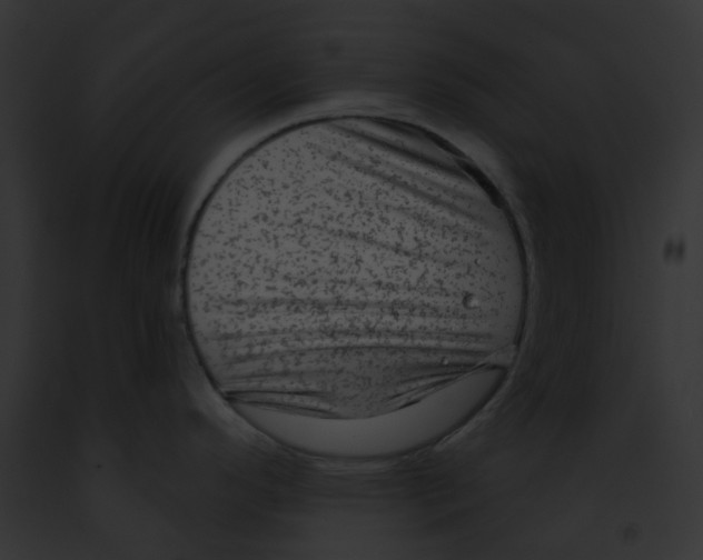 X0000091891296200710031134