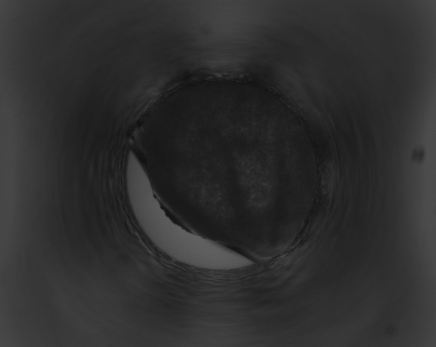 X0000091891298200710031133