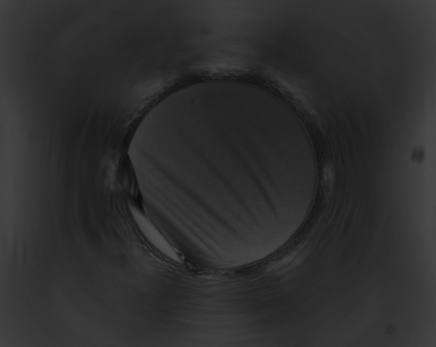 X0000091891300200710031133