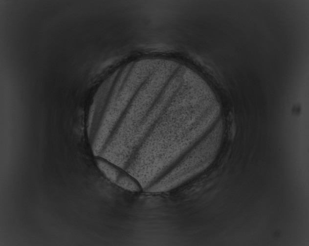X0000091891301200710031133