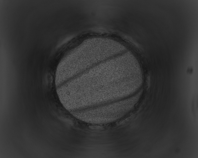 X0000091891302200710031133