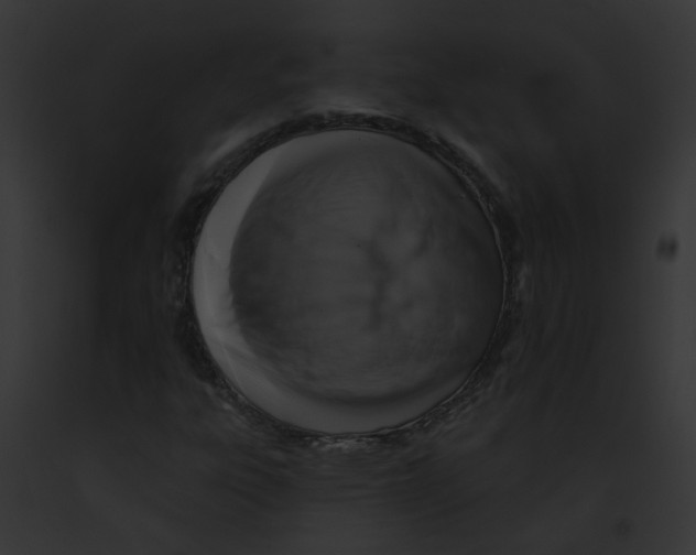 X0000091891303200710031133