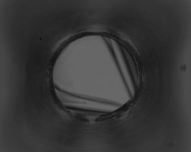 X0000091891304200710031133