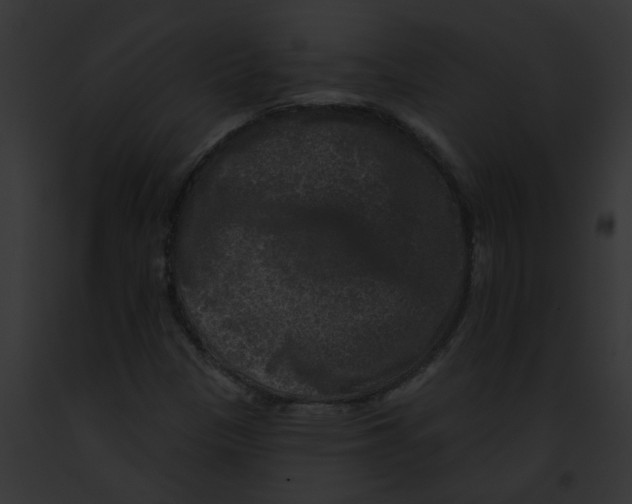 X0000091891305200710031133