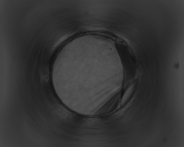 X0000091891306200710031133