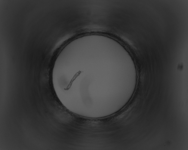X0000091891309200710031133