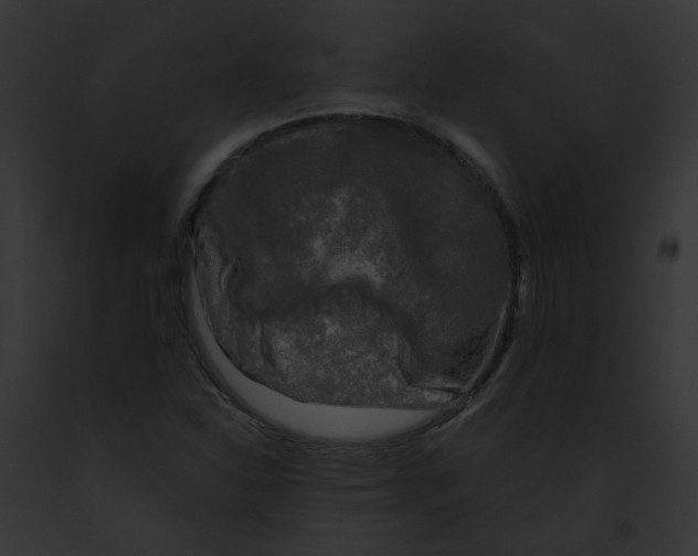 X0000091891310200710031133
