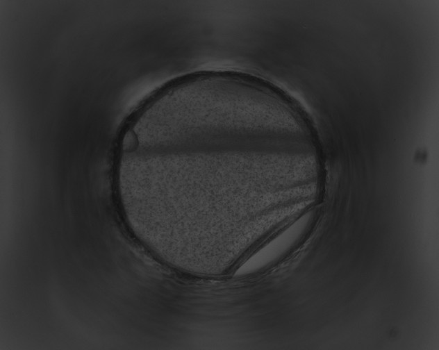 X0000091891311200710031133
