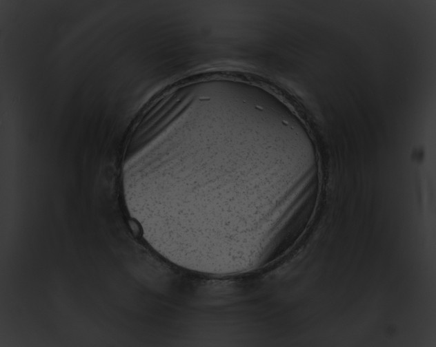 X0000091891313200710031133