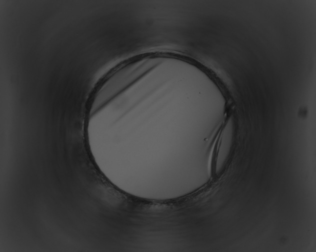 X0000091891316200710031133