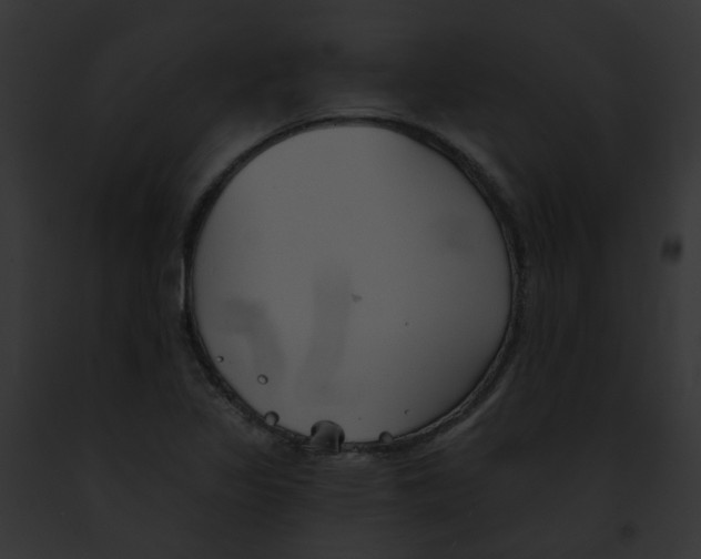X0000091891317200710031133
