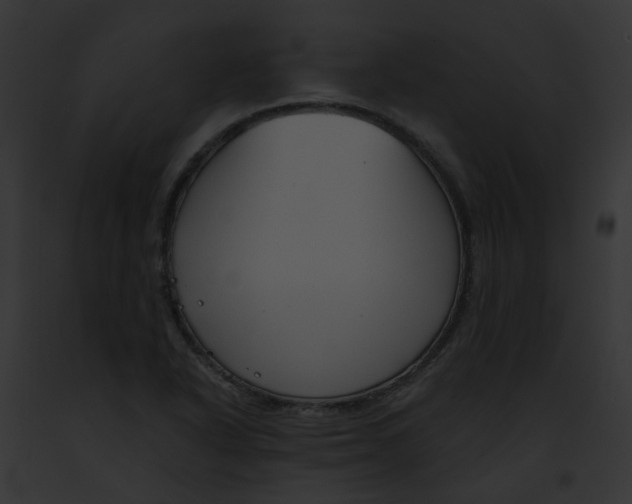 X0000091891318200710031133