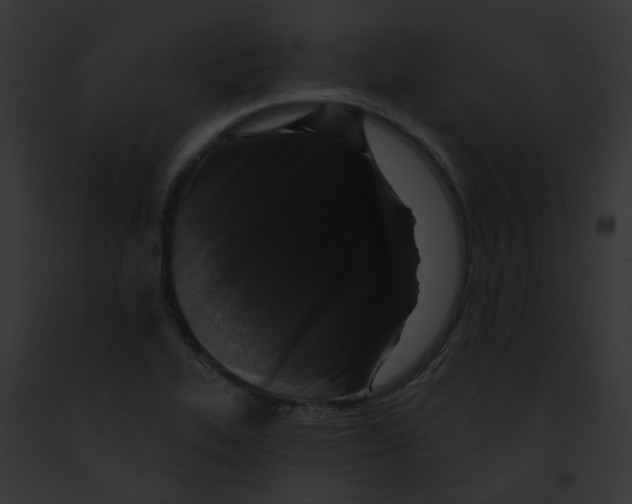 X0000091891319200710031133