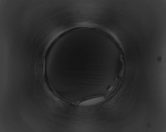 X0000091891323200710031133