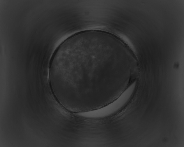 X0000091891324200710031133