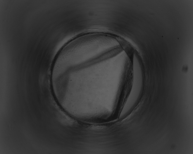X0000091891325200710031133