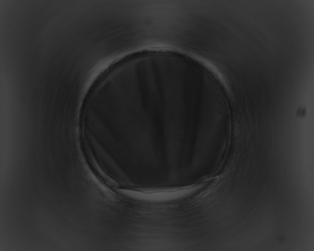 X0000091891327200710031133