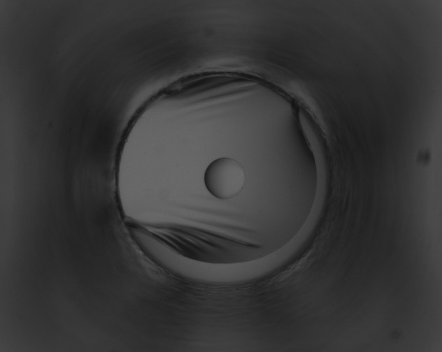 X0000091891328200710031133
