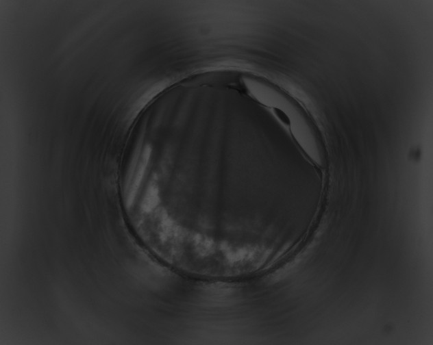 X0000091891329200710031133