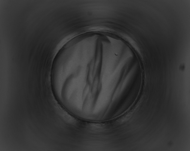 X0000091891330200710031133
