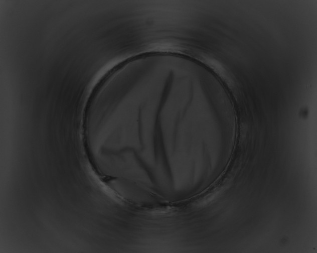 X0000091891331200710031133