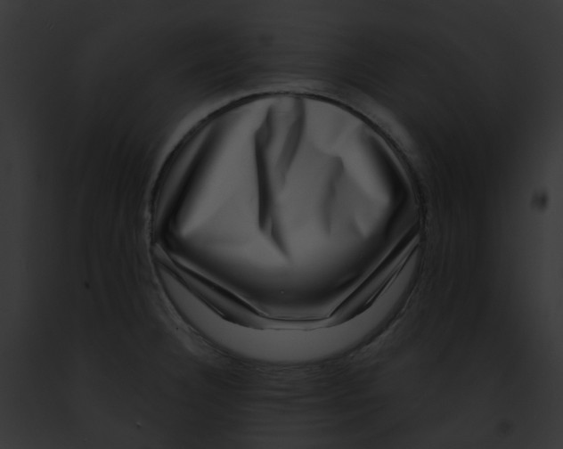 X0000091891332200710031133