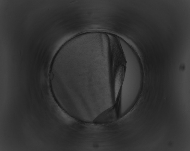 X0000091891333200710031133