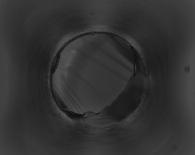 X0000091891334200710031134
