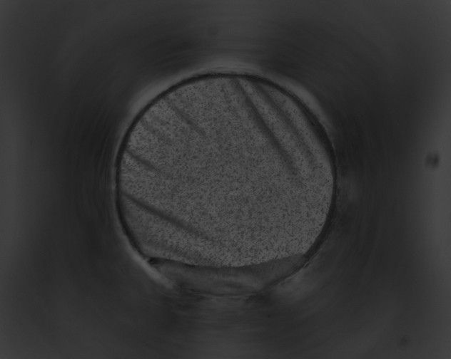 X0000091891335200710031134