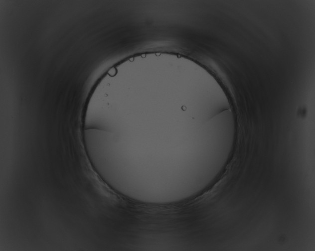 X0000091891336200710031134