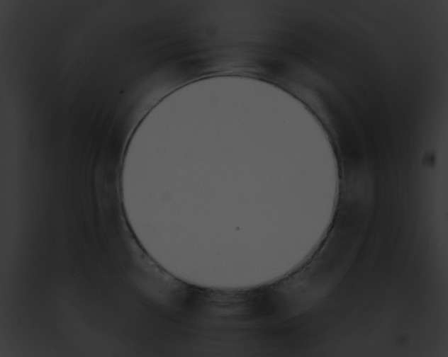 X0000091891338200710031134