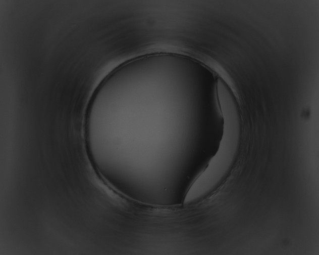 X0000091891339200710031134