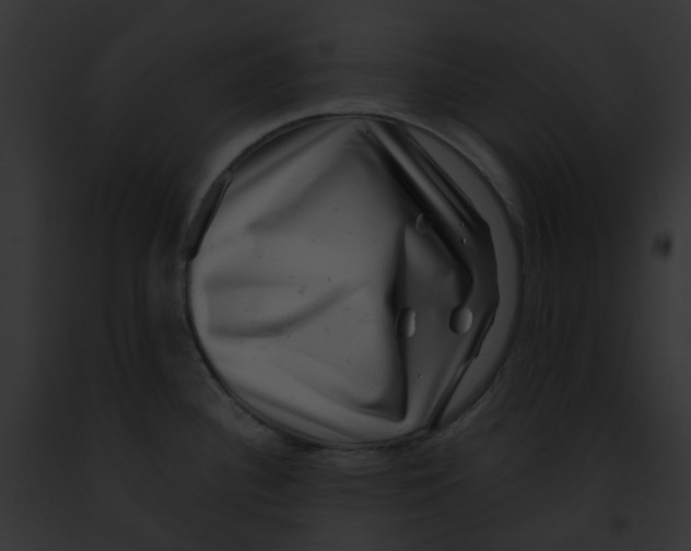 X0000091891340200710031134