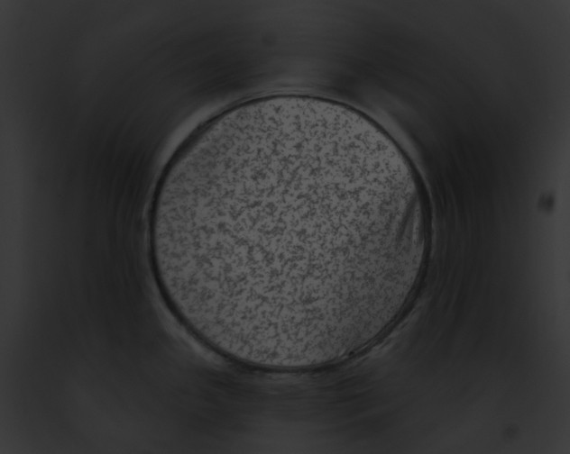 X0000091891341200710031134