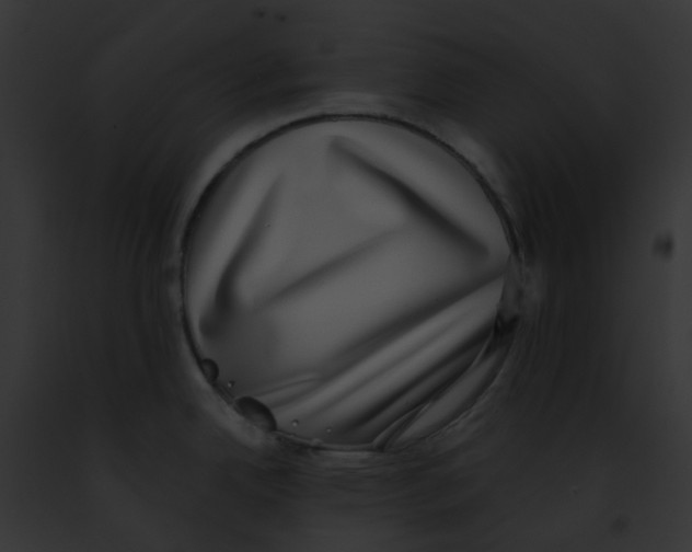 X0000091891342200710031134