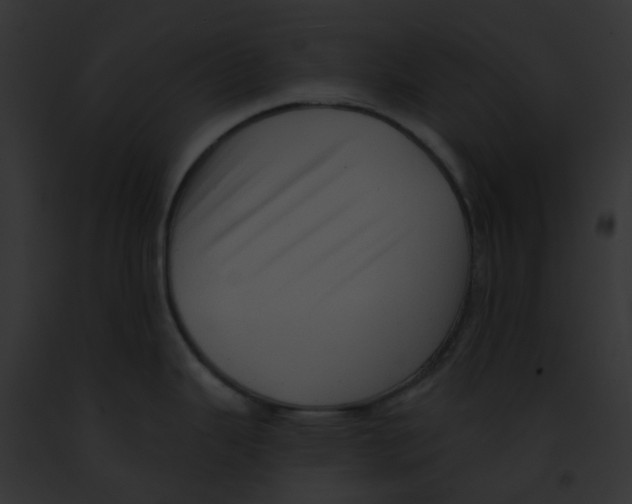 X0000091891343200710031134