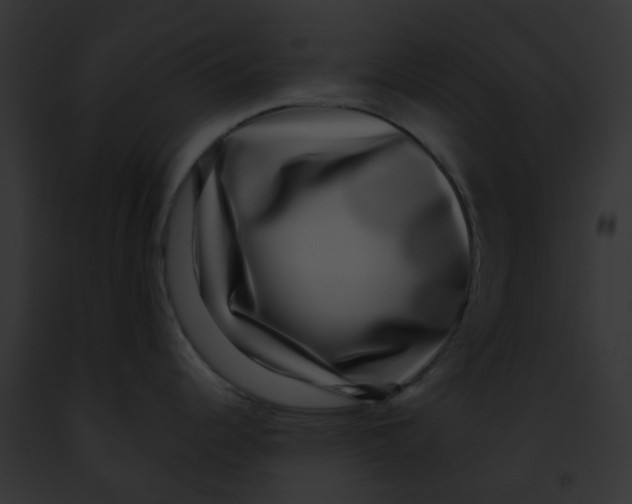 X0000091891344200710031134
