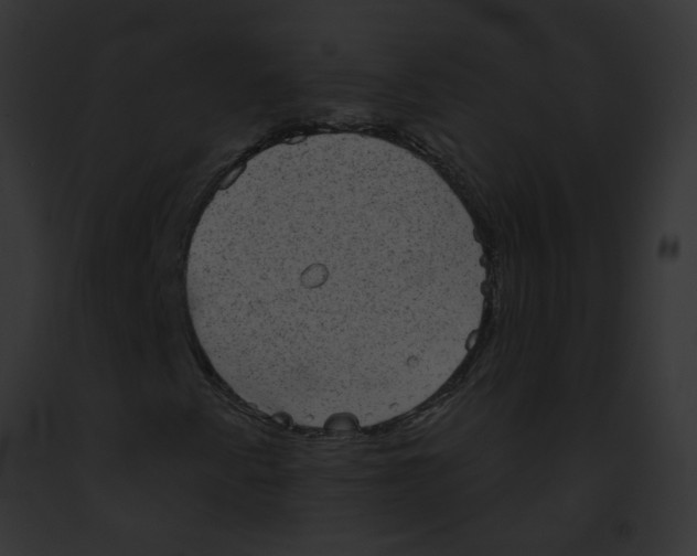 X0000091891345200710031133