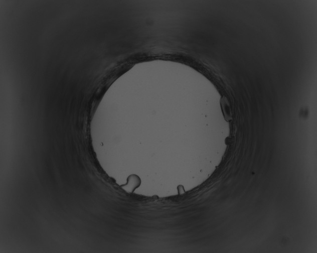 X0000091891348200710031133