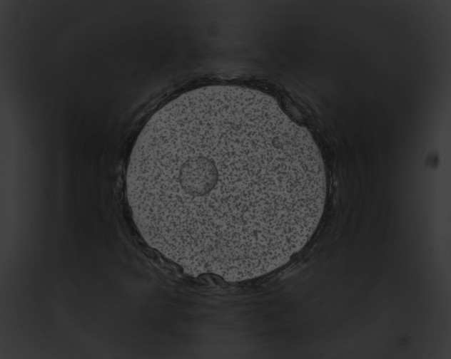 X0000091891349200710031133