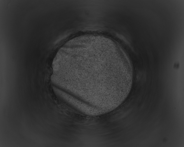 X0000091891350200710031133