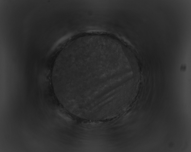 X0000091891351200710031133