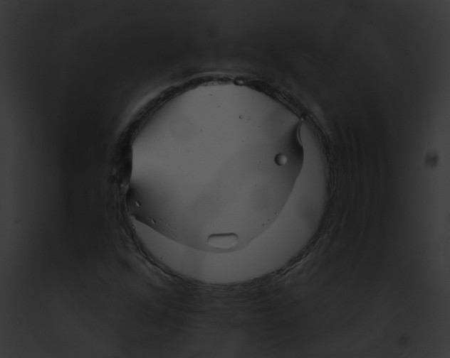 X0000091891352200710031133