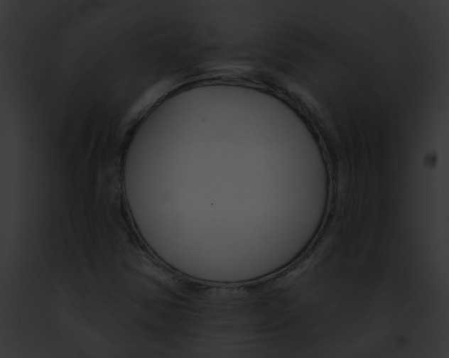 X0000091891354200710031133