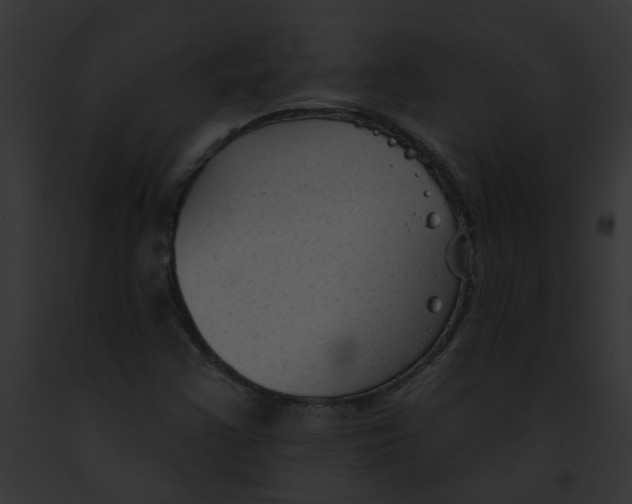 X0000091891355200710031133