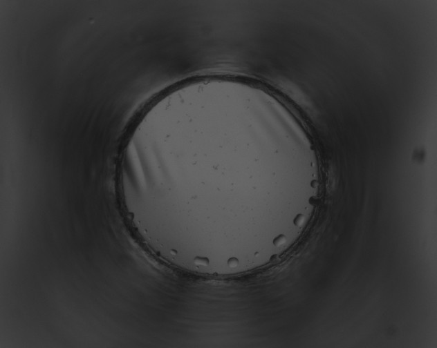 X0000091891356200710031133