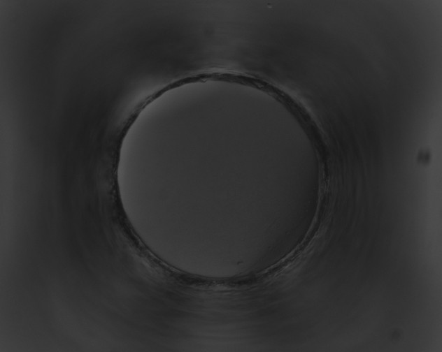 X0000091891359200710031133