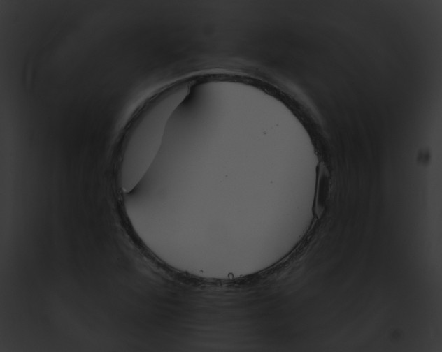 X0000091891360200710031133